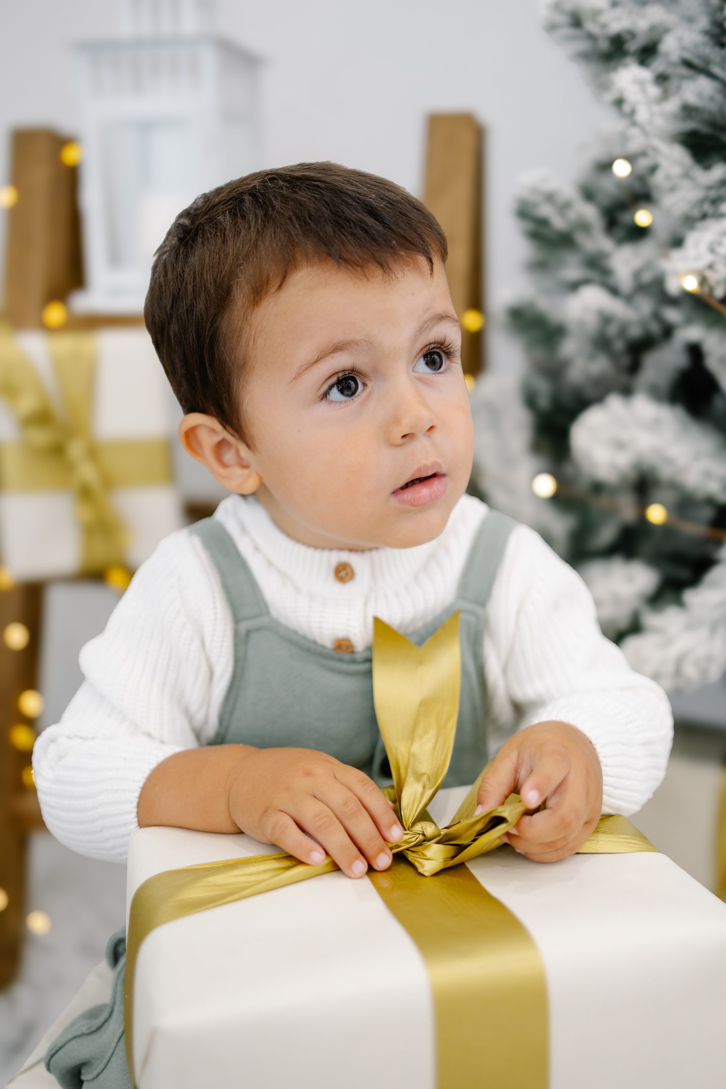 Sesión de Navidad
