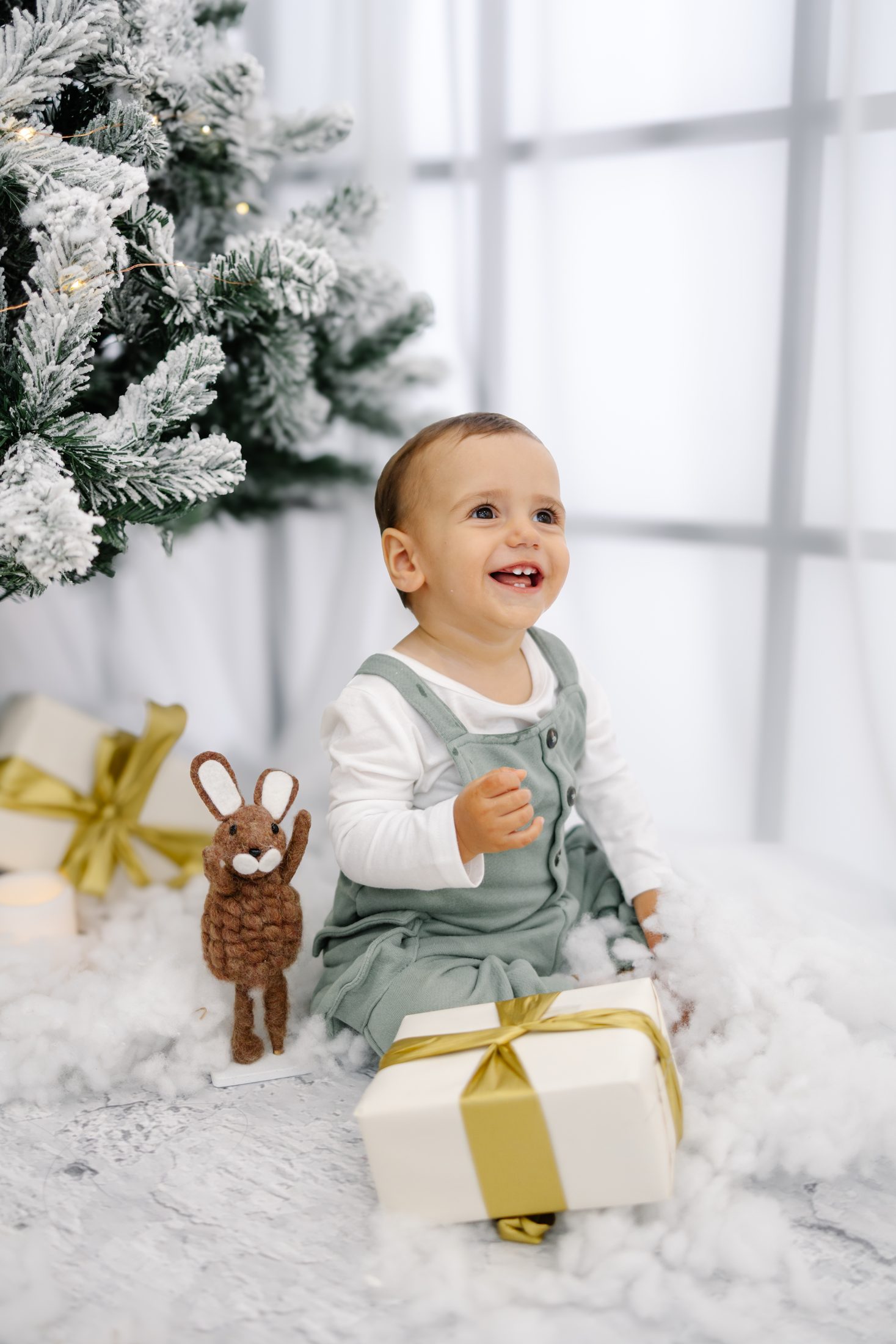 Sesión de Navidad